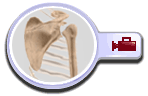 shoulder-joint-replacement